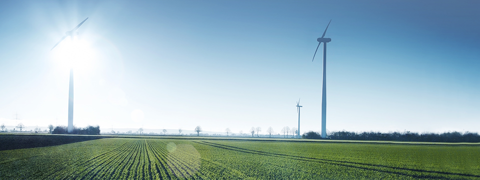 Energie rinnovabili