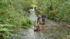 Revalorisation écologique de l'habitat aquatique et amélioration de la végétation des rives