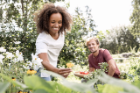 Vision d'un avenir durable