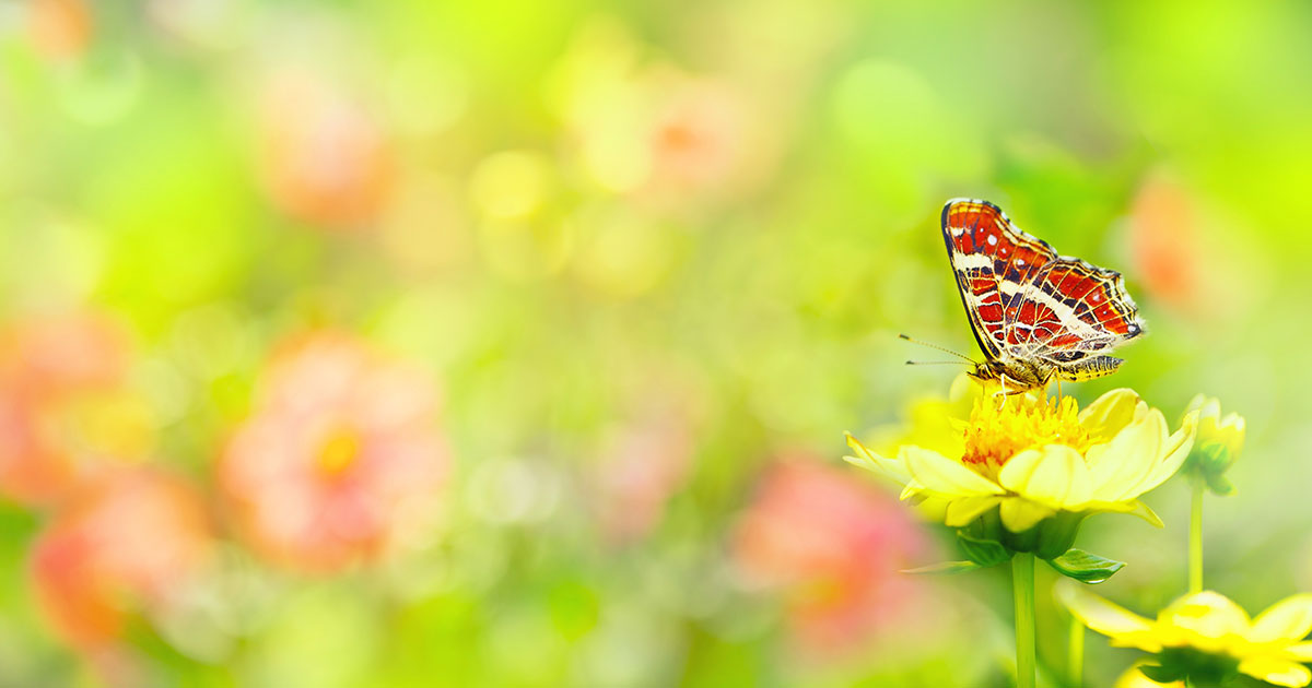 Abkuhlung Im Sommer Youtube